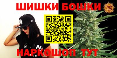 гашик Нарткала