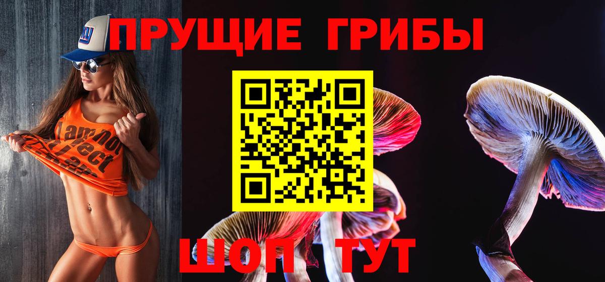 купить закладку  Галлюциногенные грибы Cubensis  Вход с VPN  Еманжелинск  Псилоцибиновые грибы мицелий 